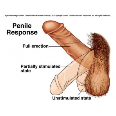 79679