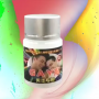 男同春藥GAY水