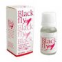 西班牙金蒼蠅BLACK FLY